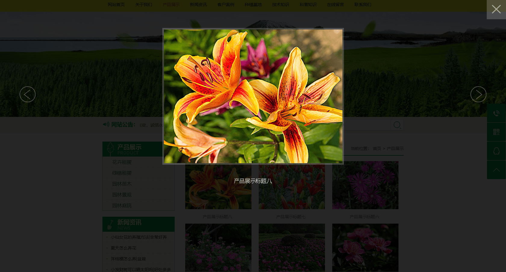 php宝塔搭建部署实战易优cms花卉艺术园艺种植网站源码